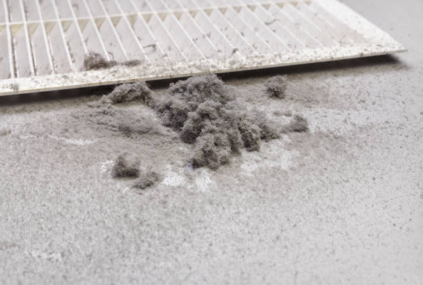 HVAC System Cleaning in Monee, IL
