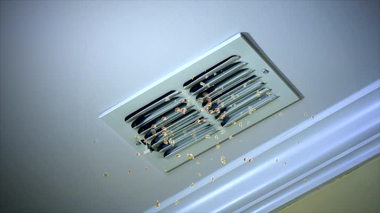 Best Home Air Vent Cleaning  in Monee, IL